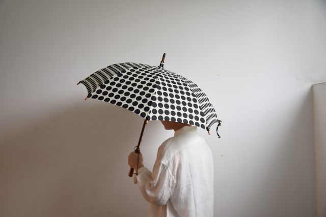 傘は傘でも・・・　umbrella reef_b0110582_18260214.jpg