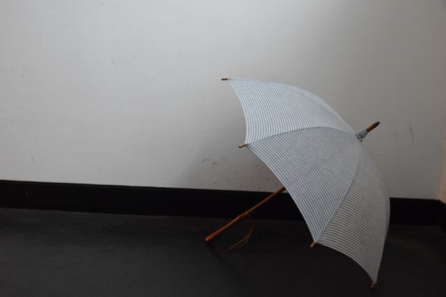 傘は傘でも・・・　umbrella reef_b0110582_18331920.jpg