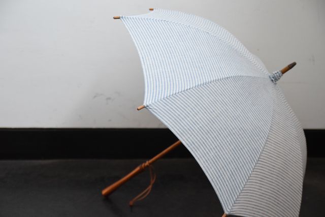 傘は傘でも・・・　umbrella reef_b0110582_18364430.jpg