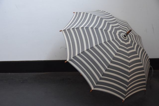 傘は傘でも・・・　umbrella reef_b0110582_18381613.jpg