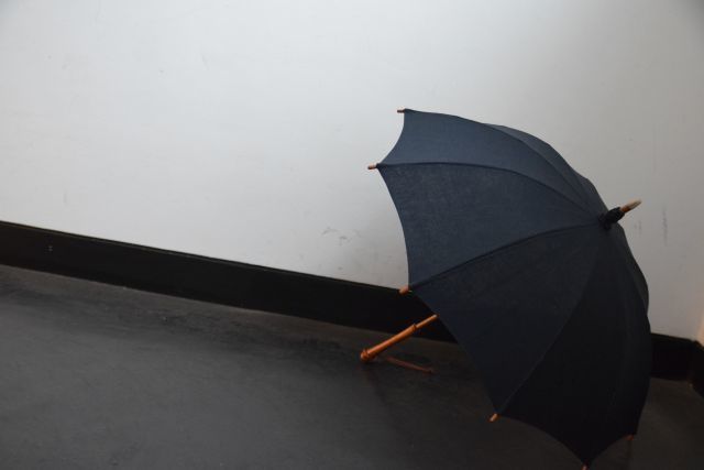 傘は傘でも・・・　umbrella reef_b0110582_18391752.jpg