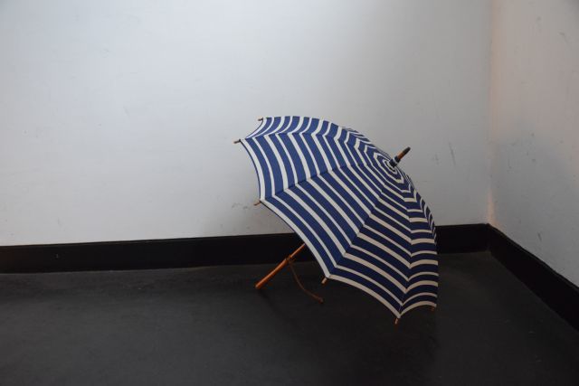 傘は傘でも・・・　umbrella reef_b0110582_18401612.jpg
