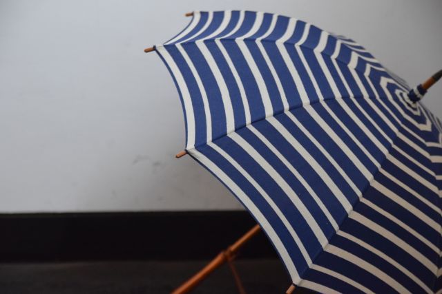 傘は傘でも・・・　umbrella reef_b0110582_18402900.jpg