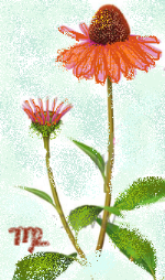 a0287486_1857556.png