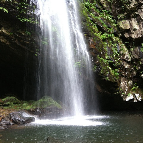 a0143491_00127.jpg