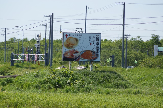 d0181492_23293745.jpg