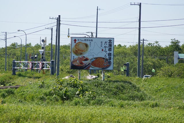 標津町を訪ねて、美しい知床半島沢山の鮭たちが帰ってきますように・・・・・_d0181492_23293745.jpg