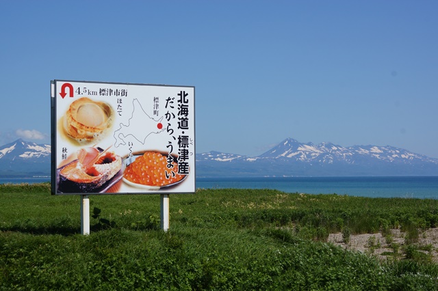 標津町を訪ねて、美しい知床半島沢山の鮭たちが帰ってきますように・・・・・_d0181492_23295693.jpg