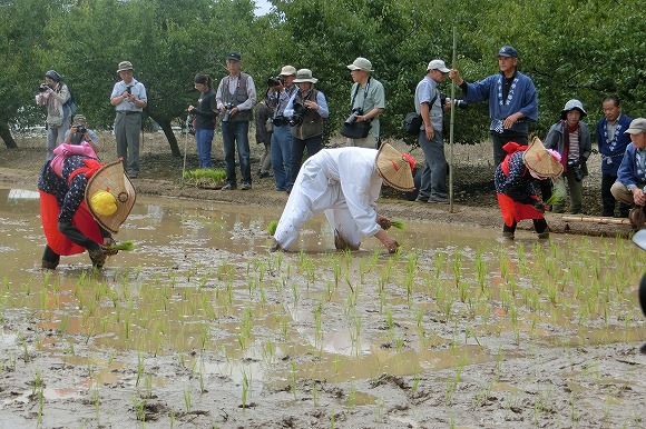 ２０１５野原八幡宮の御田植祭（荒尾市）・平成27年6月25日_a0137997_19135538.jpg