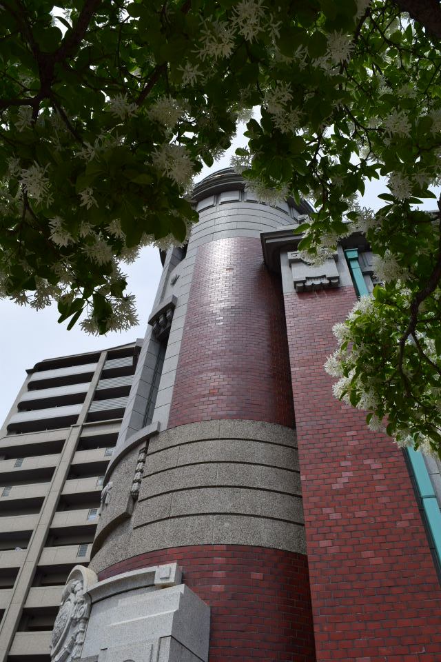 福岡県北九州市若松の旧古河鉱業若松ビル(大正モダン建築再訪)_f0142606_747767.jpg