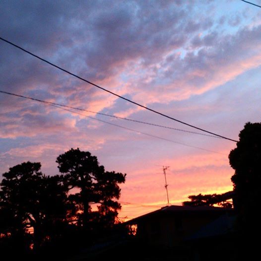 b0314807_20492809.jpg