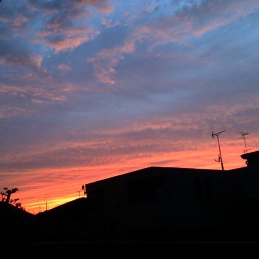 b0314807_20494391.jpg
