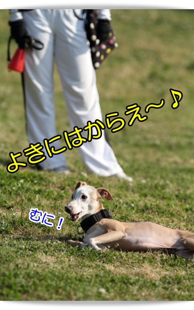 e0100007_8333429.jpg