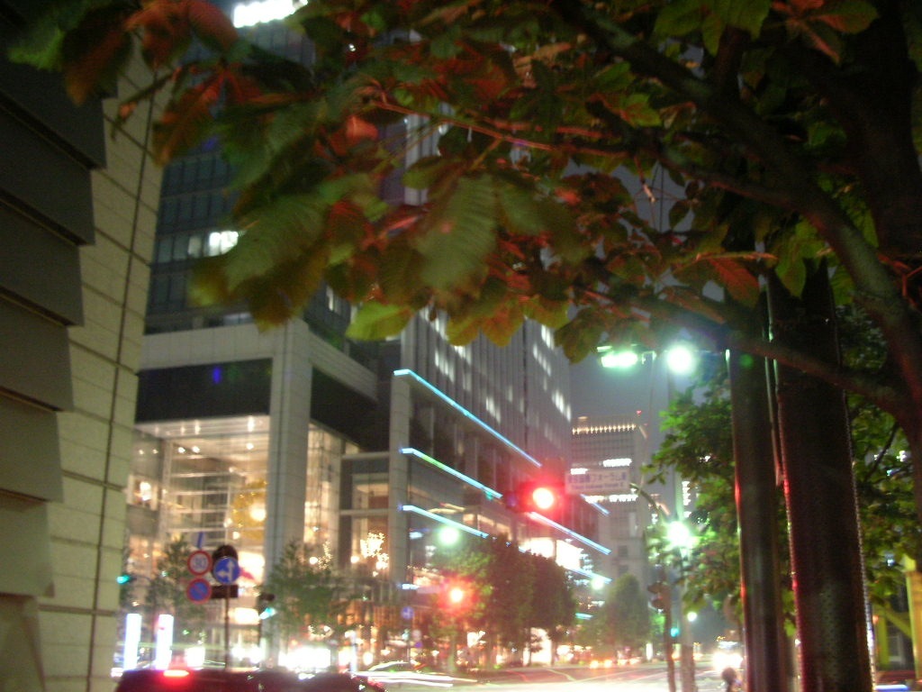 b0155415_15133365.jpg