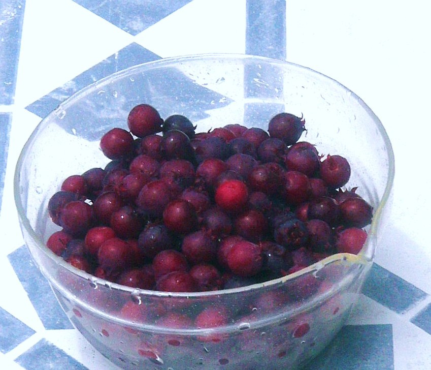 a0146024_11534167.jpg