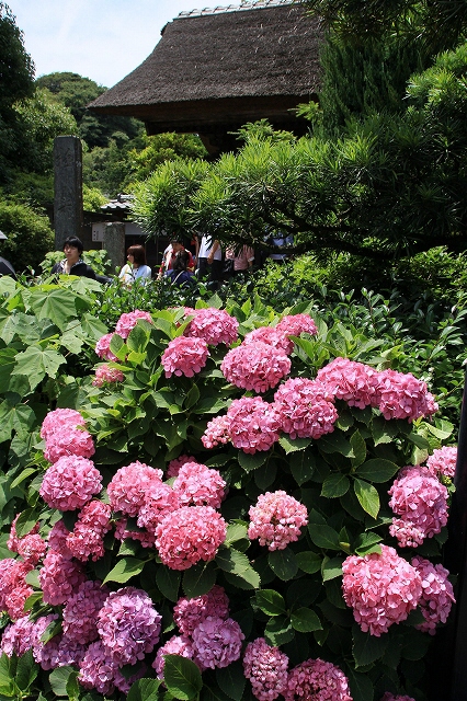 d0085025_1413473.jpg