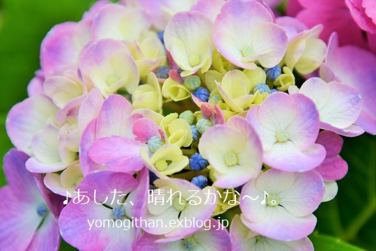 c0359535_15403218.jpg