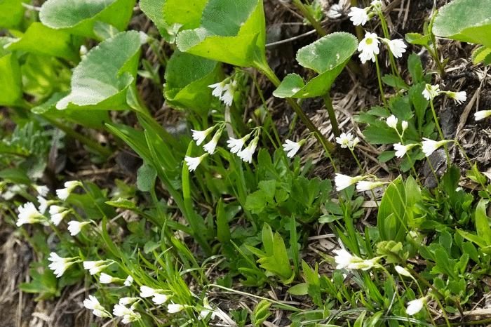 d0237340_20163601.gif