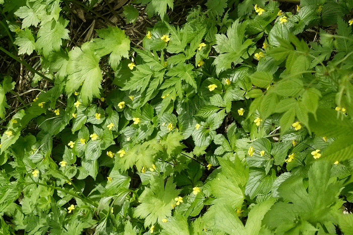 d0237340_20181027.gif