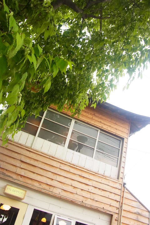 梅雨?んなの?_b0207642_7483953.jpg