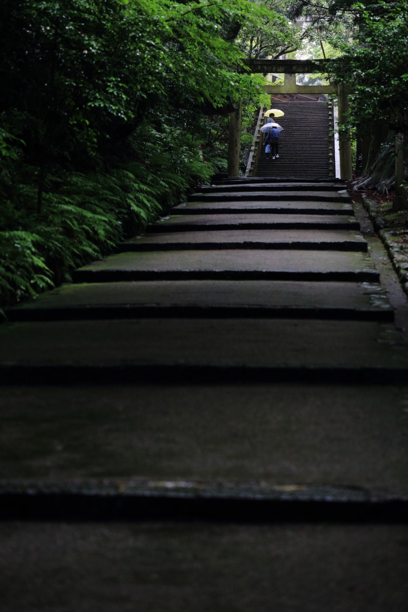 雨雲が・・・_d0135242_19195347.jpg