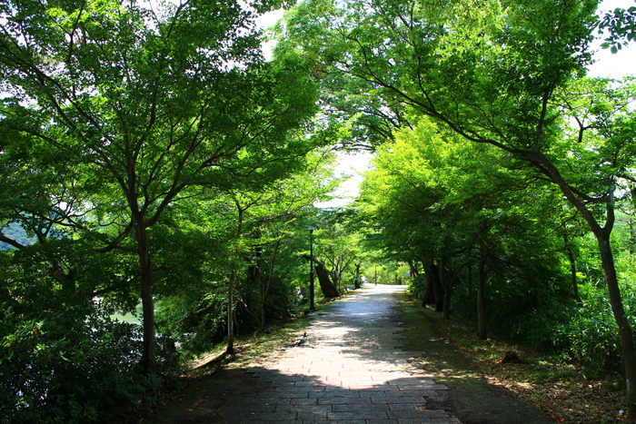 e0232054_16453571.jpg