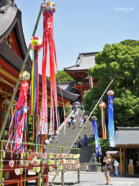 明日から 七夕祭 『鎌倉 2015』(2)_d0251161_16235147.jpg