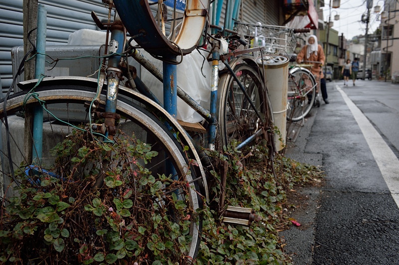 東池袋の花_f0079061_1755067.jpg