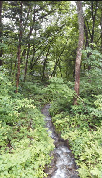 e0342572_15290180.png