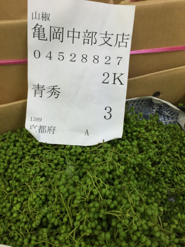 山椒・梅仕事2015…①_e0326573_11514025.jpg