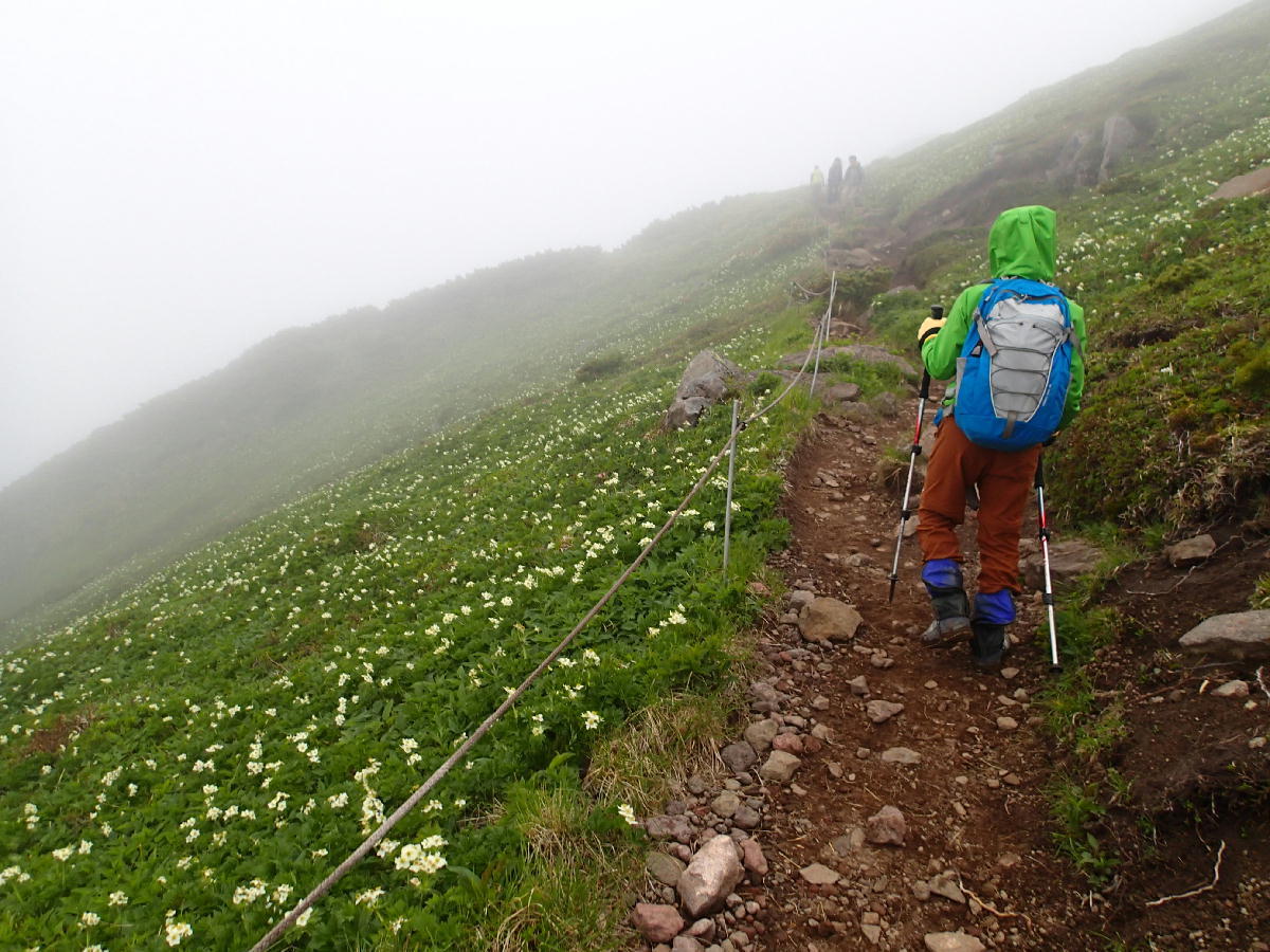 富良野岳1912m(かみふらの岳経由)_c0346881_19190951.jpg