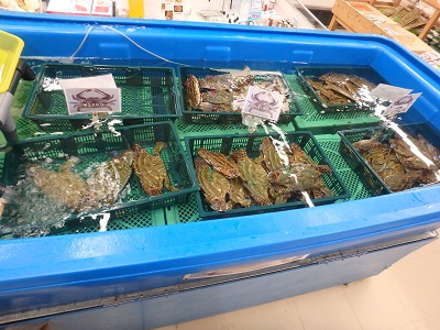 鹿島を楽しむ_d0195183_23132023.jpg