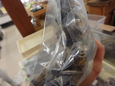 鹿島を楽しむ_d0195183_2314495.jpg