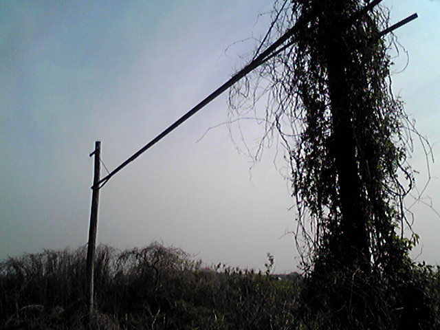 西武鉄道安比奈線~CDジャケット写真ロケハン2009年春。_a0334793_06083458.jpg