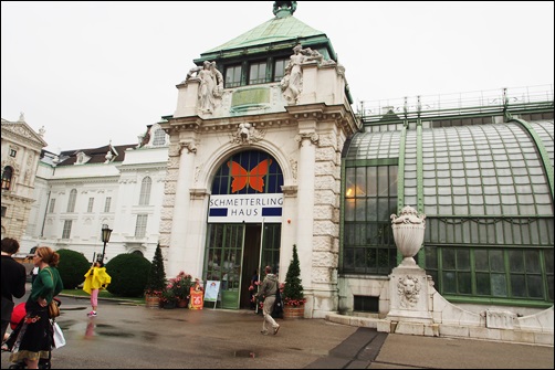 Naschmarkt,　Schmetterlinghaus　＠Wien_f0053297_1331187.jpg