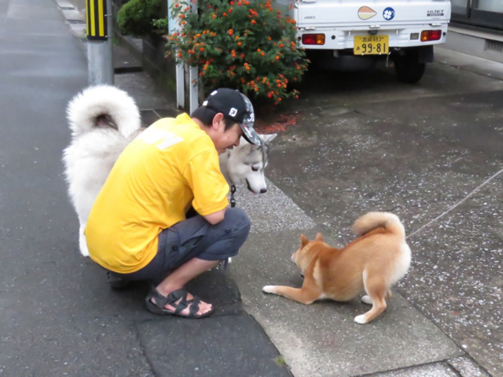雨・雨・雨 (^_^;)_c0049299_2221677.jpg