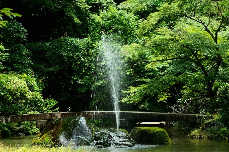 三宅八幡宮_f0032011_19152987.jpg