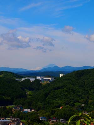 a0258516_16545015.jpg