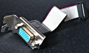 e0002817_10213180.gif