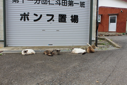 【２日目-２　宮城・田代島】２０１５梅雨のバイク旅。_d0221319_12483819.jpg