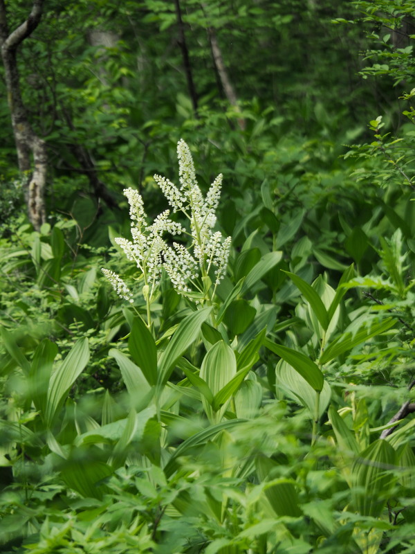 f0330321_16594519.jpg