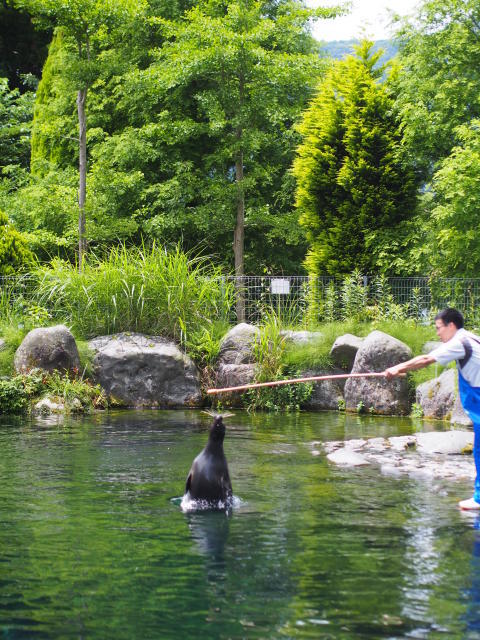 a0037322_17173059.jpg