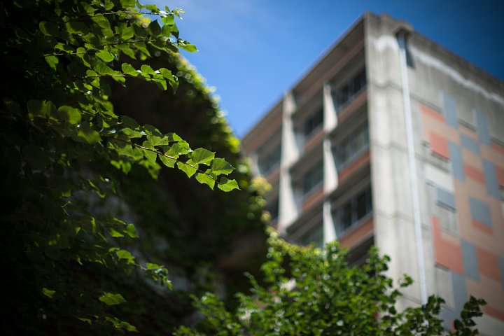 b0134829_22342985.jpg