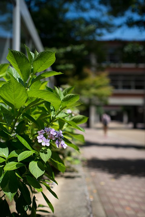 b0134829_22364457.jpg