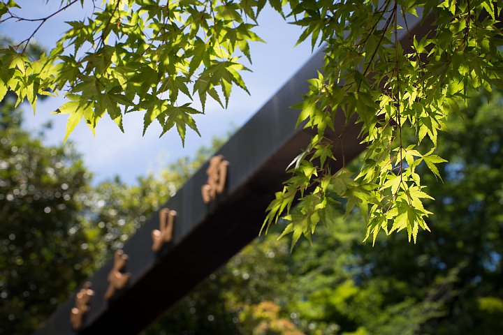 b0134829_22423311.jpg