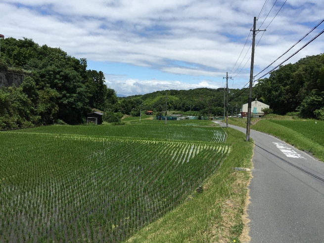 梅雨の中休み_c0113733_2327176.jpg