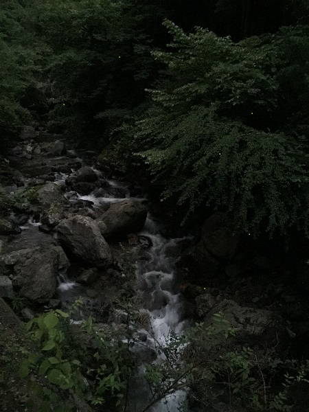 c0113733_2364071.jpg