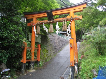 また雨です　京都　愛宕山　あたごやま（９２４ｍ）_c0077338_17412385.jpg