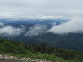 f0122639_20212964.jpg