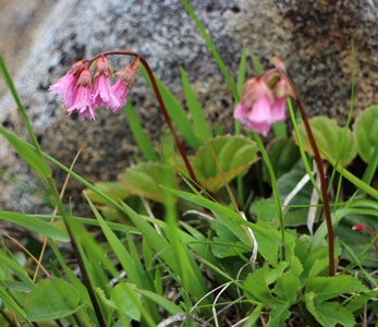 f0122639_20294314.jpg